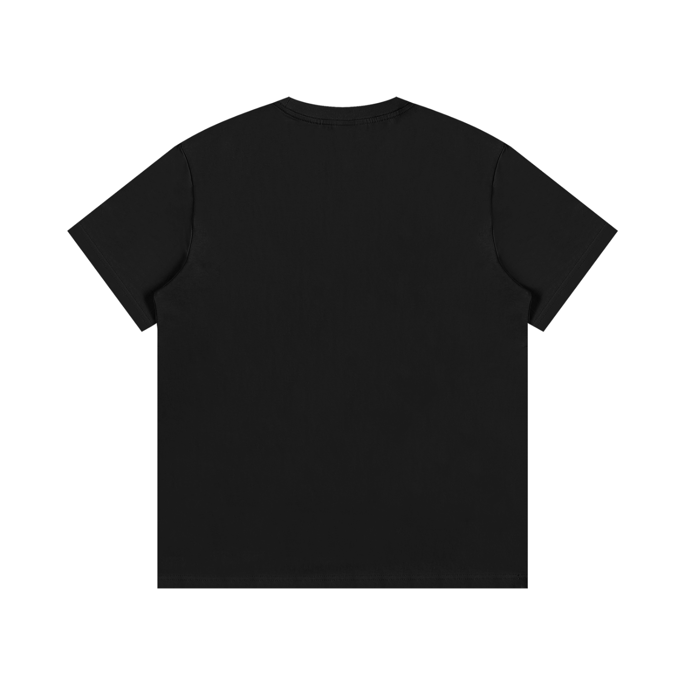 Veni Vidi Vici T-Shirt