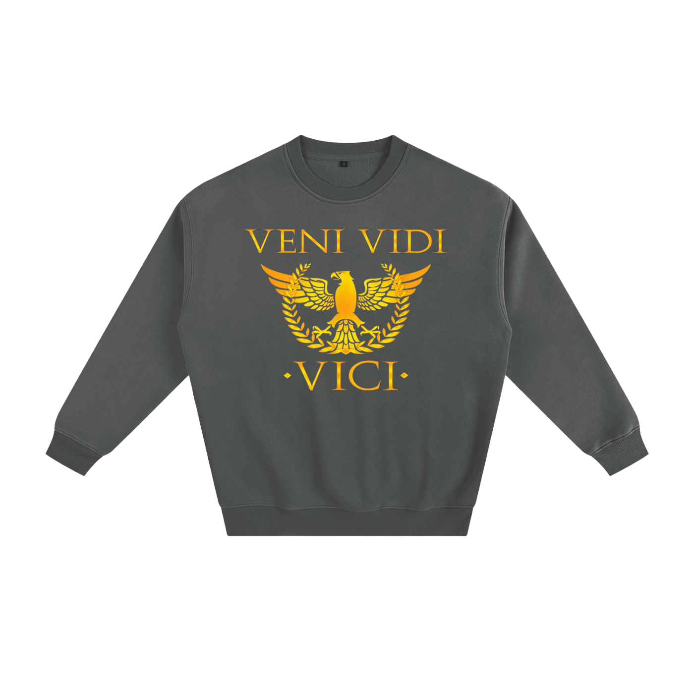 Veni Vidi Vici Fleeced Sweatshirt