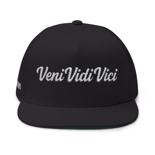 'Veni Vidi Vici' Embroidery