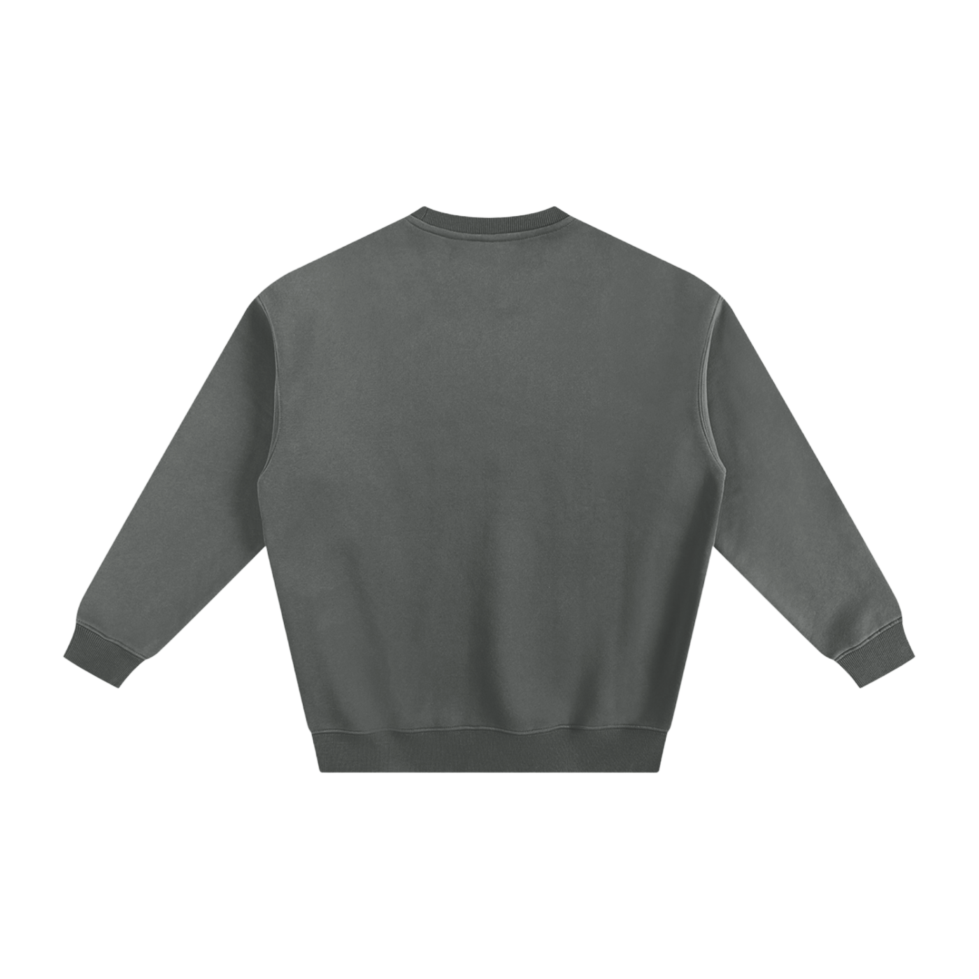 Veni Vidi Vici Fleeced Sweatshirt