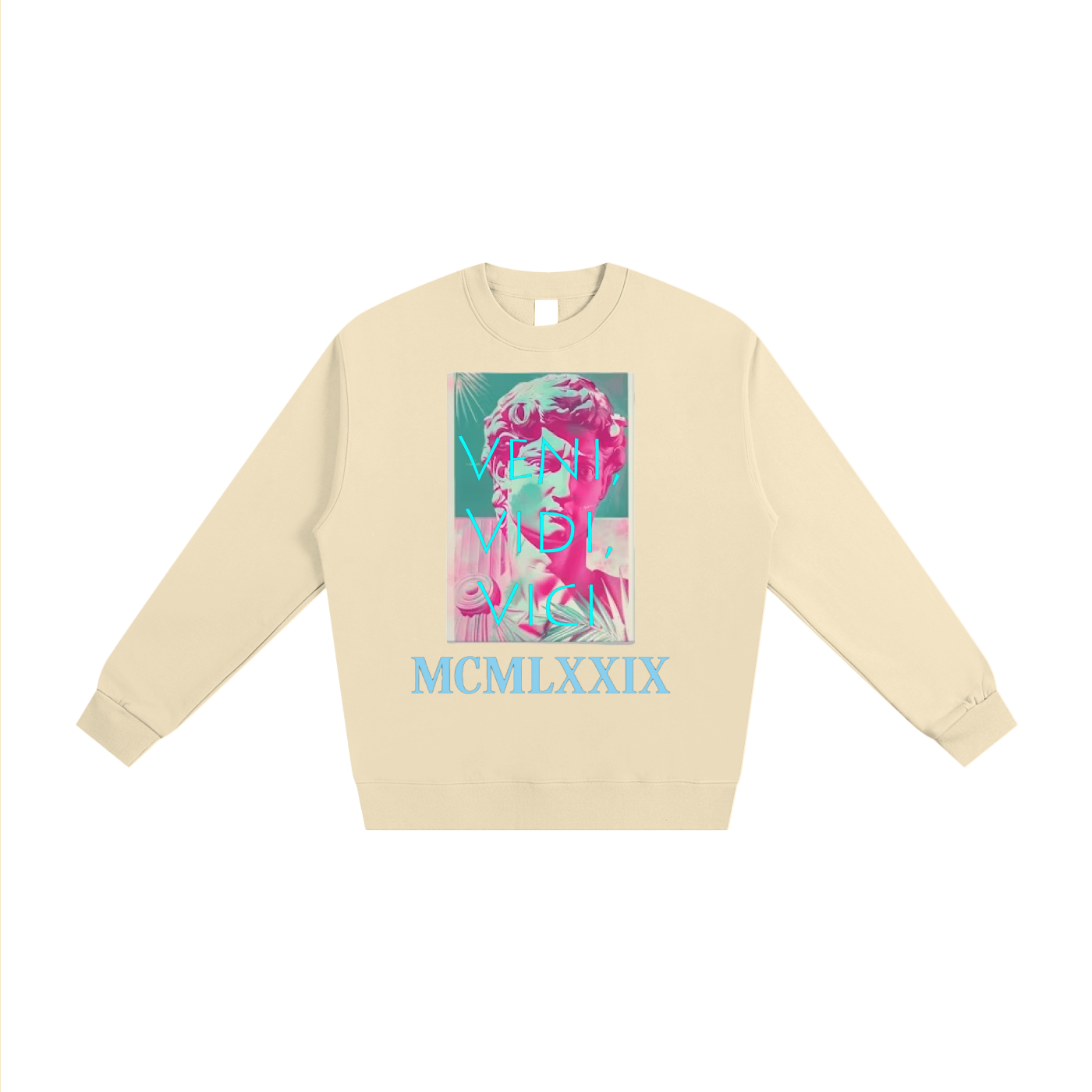 Veni Vidi Vici Sweatshirt