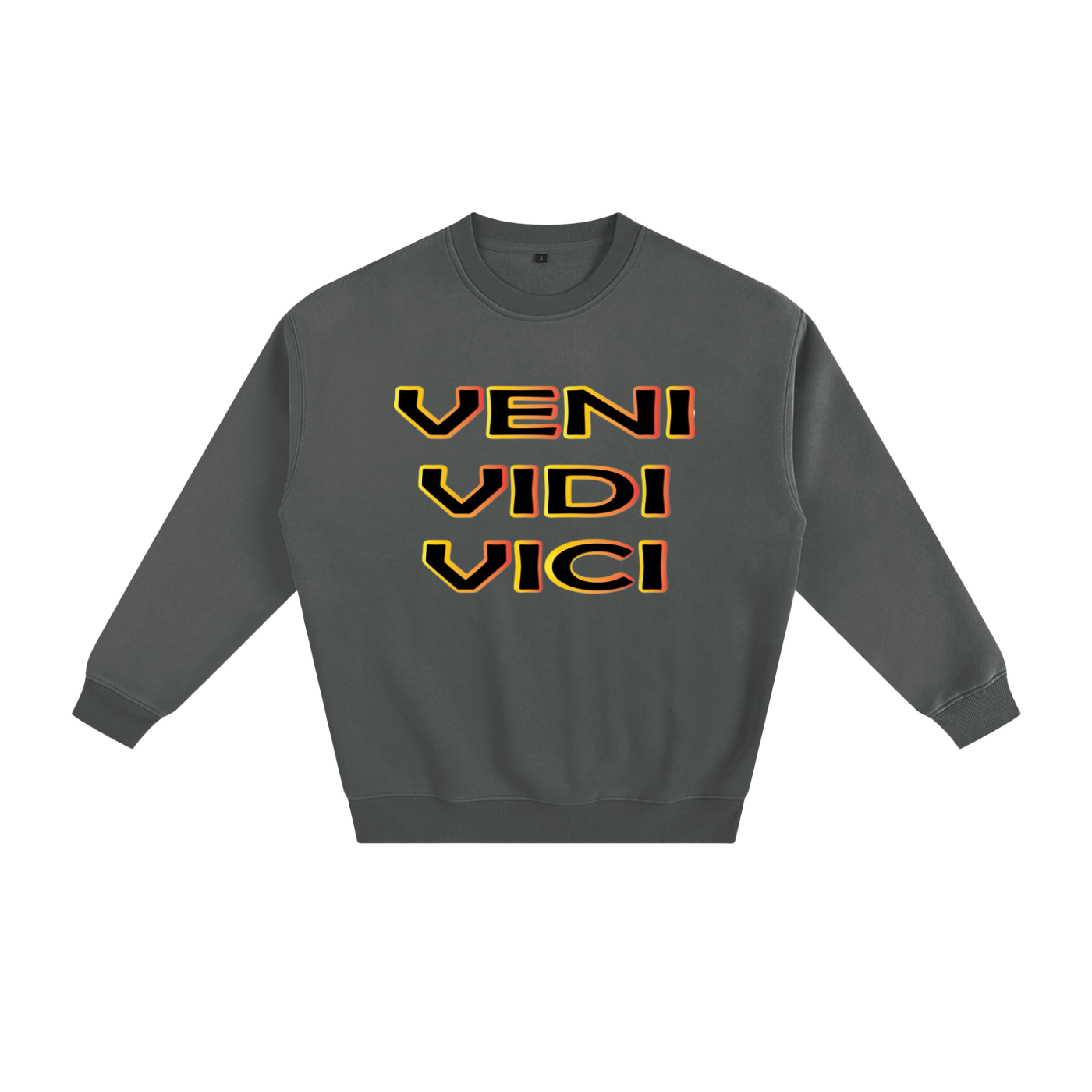 Veni Vidi Vici Fleeced Sweatshirt