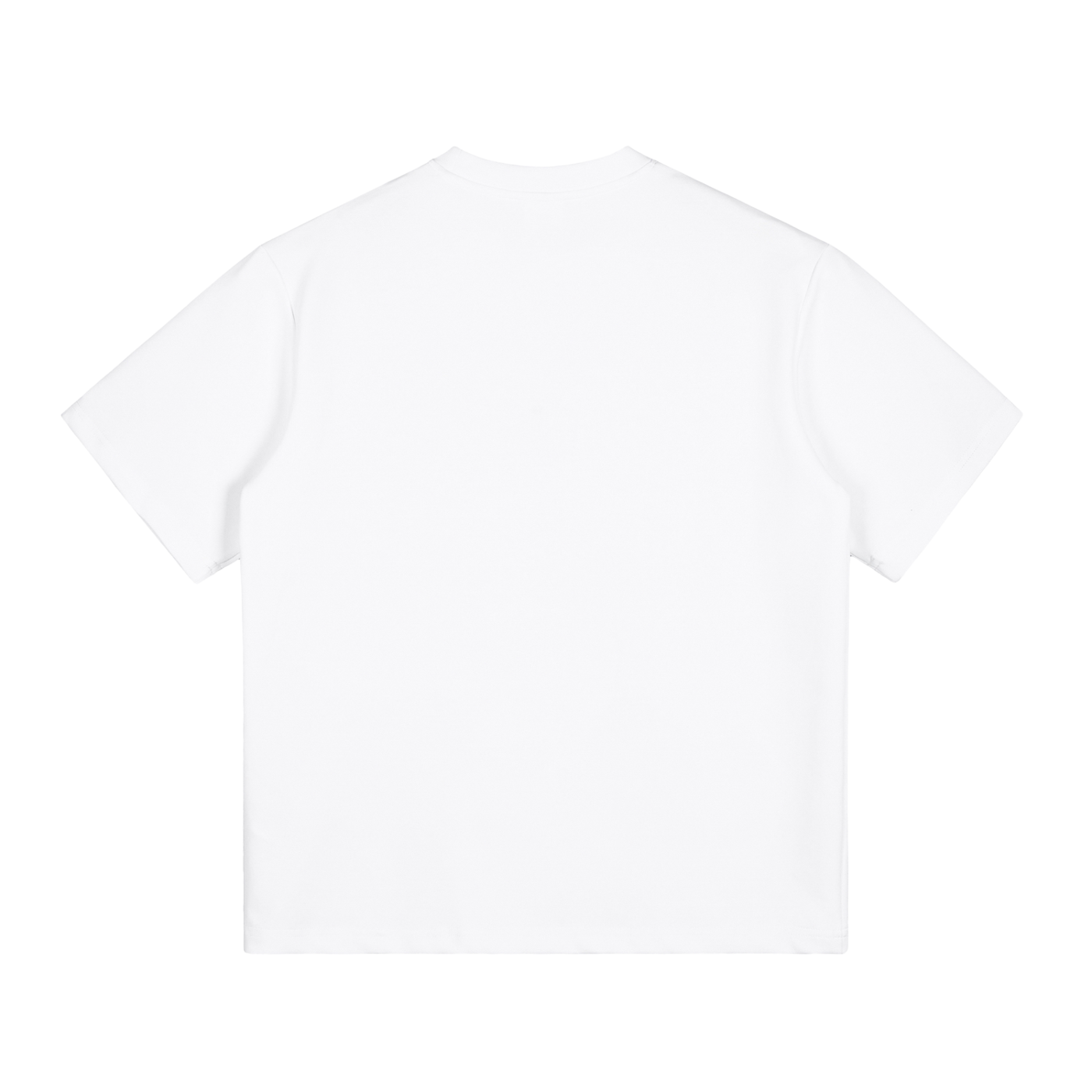 Veni Vidi Vici T-Shirt