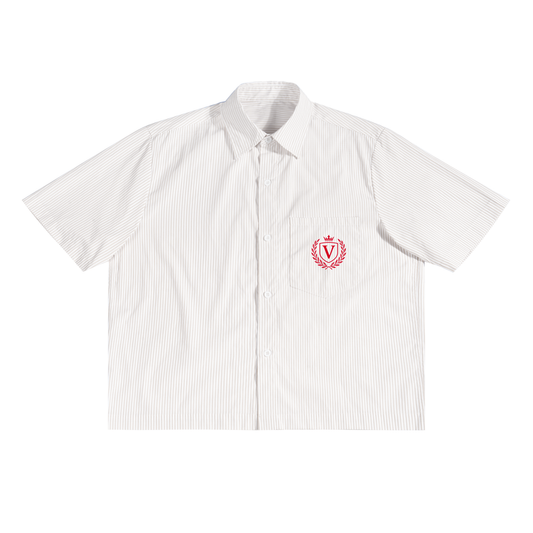 Veni Vidi Vici Stripe Boxy Shirt