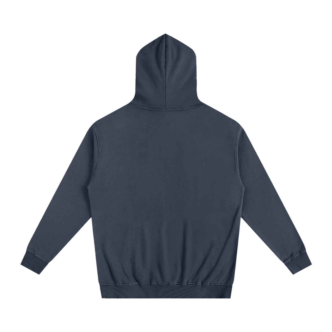 Veni Vidi Vici Oversized Hoodie
