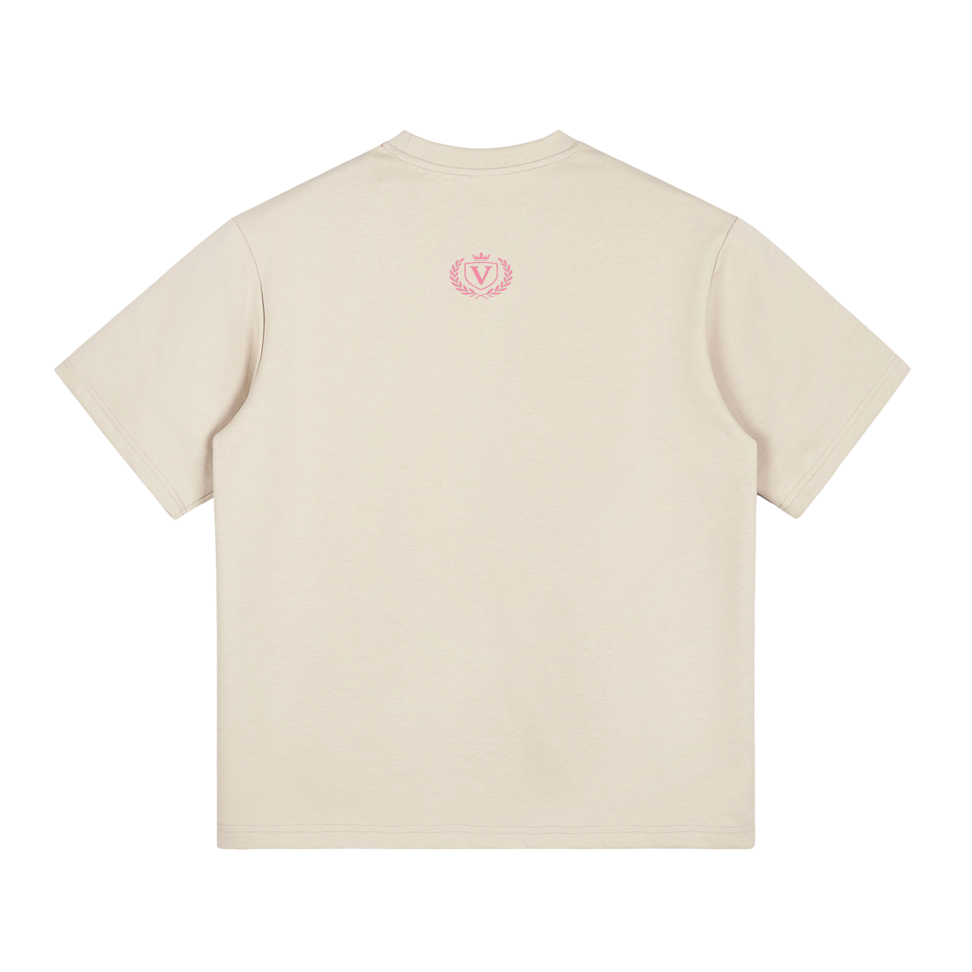 Veni vidi vici T-Shirt