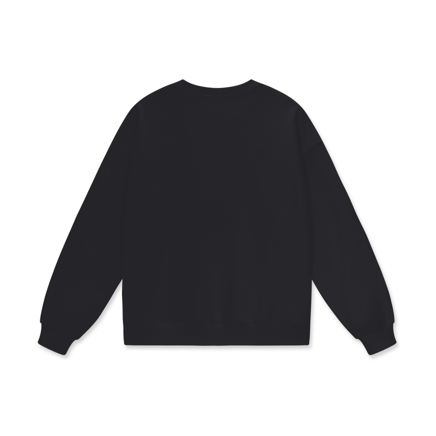 Veni Vidi Vici Sweatshirt