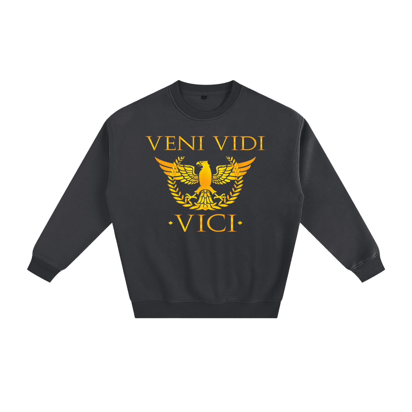 Veni Vidi Vici Fleeced Sweatshirt