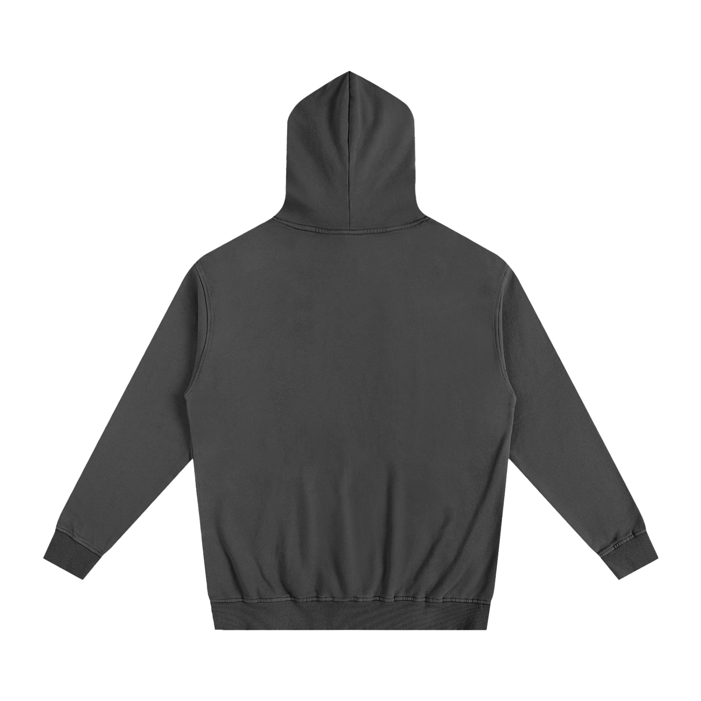 Veni Vidi Vici Oversized Hoodie